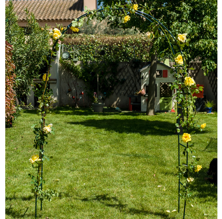 Havebue Klatring I Rosenbue