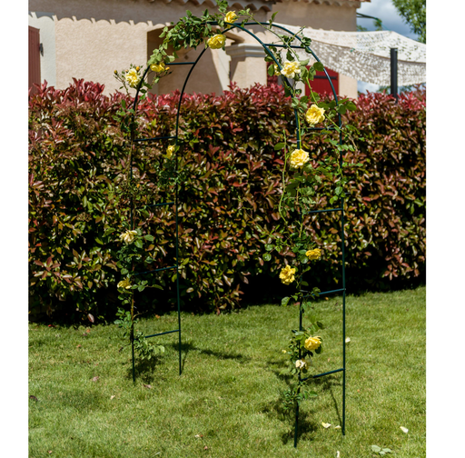 Havebue Klatring I Rosenbue