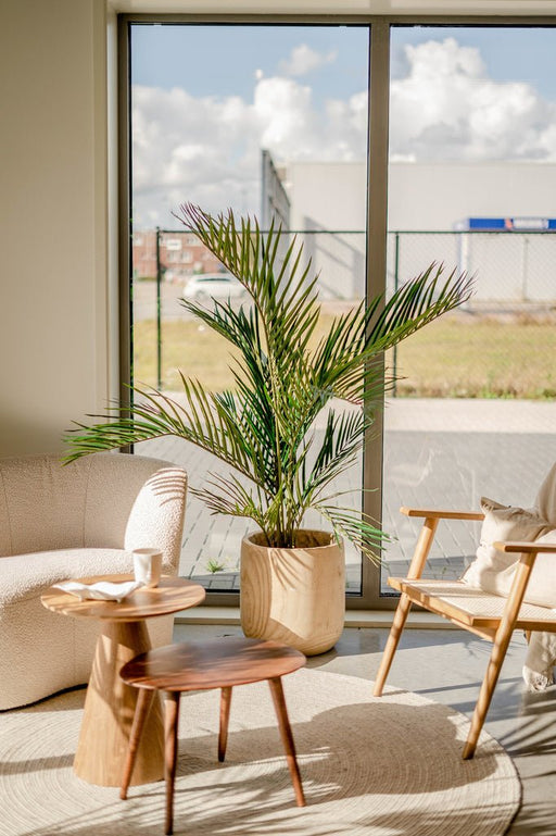 Areca - Kunstigt Palmetræ