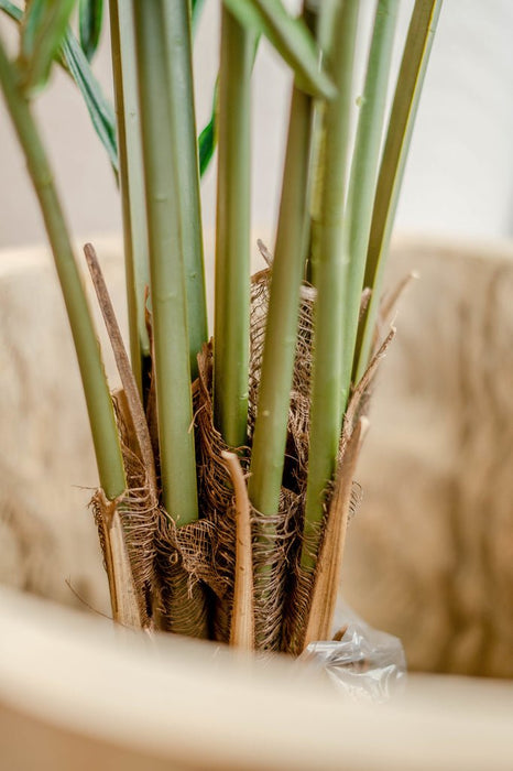 Areca - Kunstigt Palmetræ