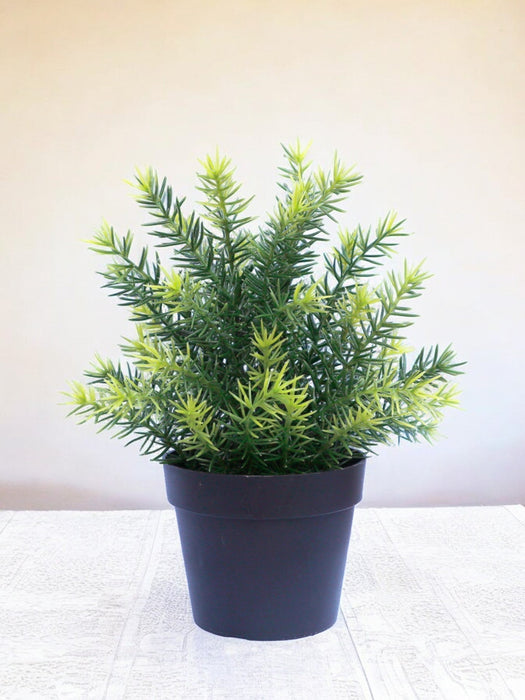 Asparges - Kunstig Grøn Plante