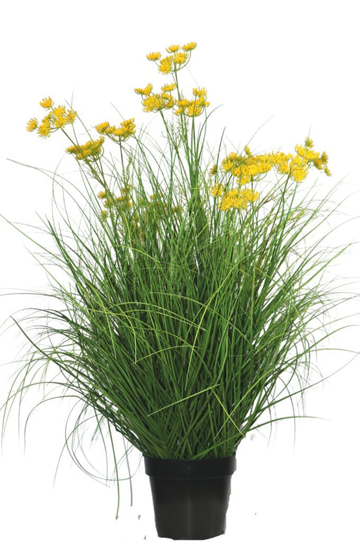 Asteraceae - Kunstgræs