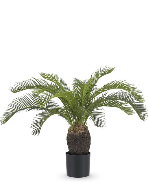 Baby Cycas - Kunstig Håndflade