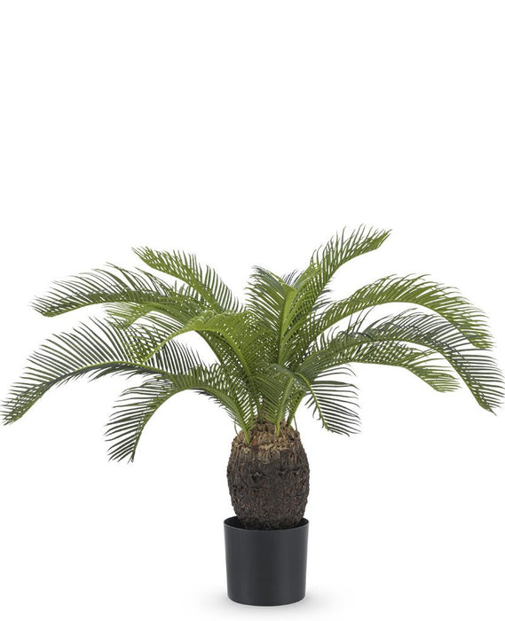 Baby Cycas - Kunstig Håndflade