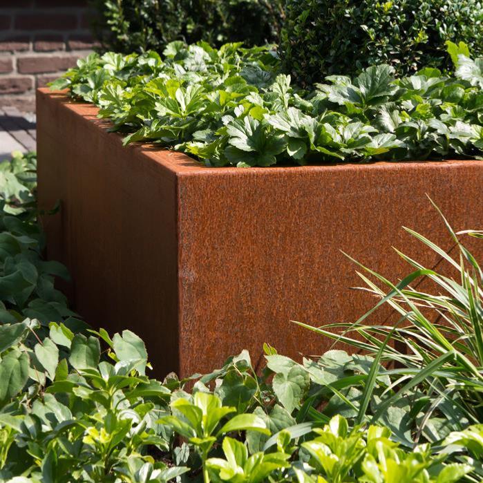 Corten Stål Firkantet Blomsterkasse 80X80Cm Rusty Look