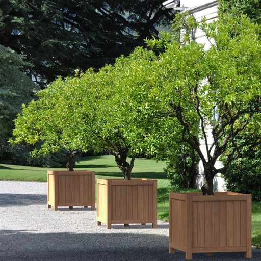 Eksotisk Træterning Blomsterkasse 60 Cm Udendørs