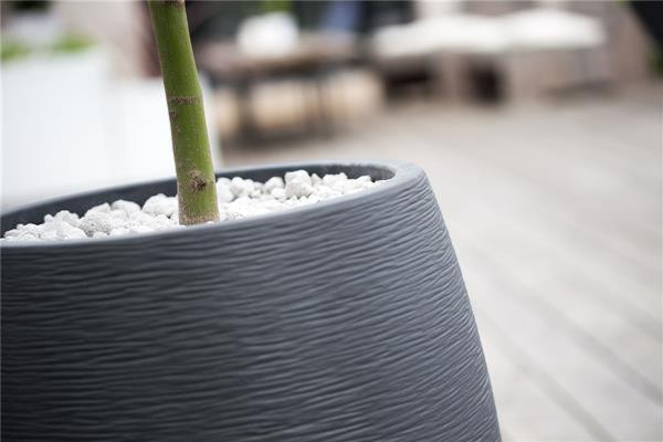 Æg Grafit Blomsterkasse 50 Cm Til Indendørs Udendørs