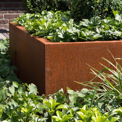 Corten Stål Firkantet Bakke Til Haveterrasse 80X60 Cm