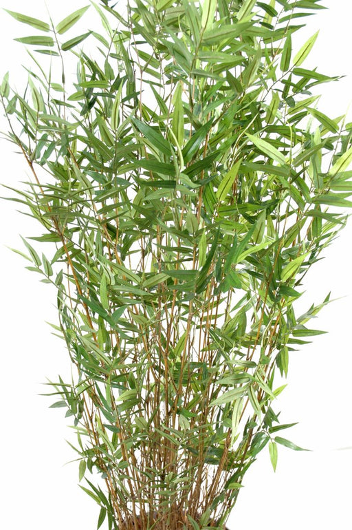 Kunstig Bambus 160 Cm Indendørs Plante Grønt Løv