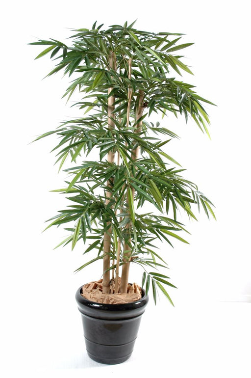 Kunstig Bambus 175 Cm Med 4 Store Grønne Stokke