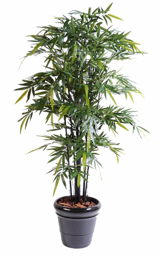 Indendørs Dekorativ Kunstig Bambus H.175Cm Sort