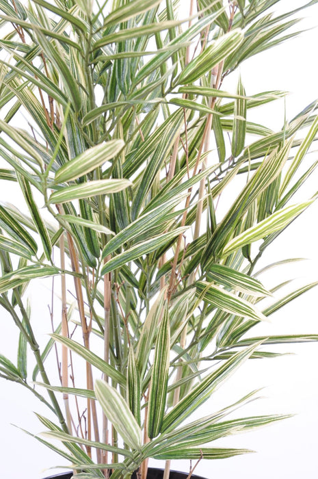 Broget Kunstig Bambus Creme Grøn 70 Cm