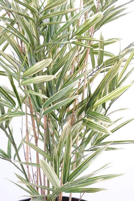 Broget Kunstig Bambus Creme Grøn 70 Cm