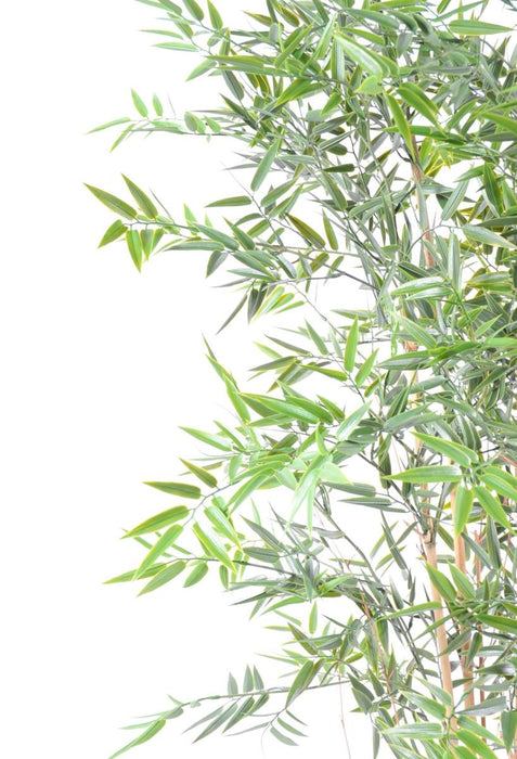 Uv-Resistent Kunstig Bambus Til Indvendig Og Udvendig