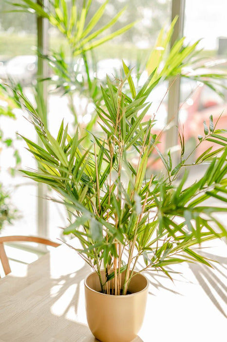 Royal Bamboo - Kunstig Grøn Plante