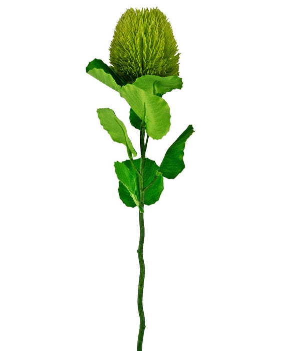 Grøn Banksia - Kunstig Blomstrende Gren