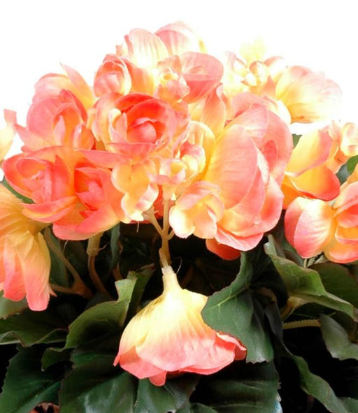 Mini Kunstig Pink Begonia På Stag 20 Cm