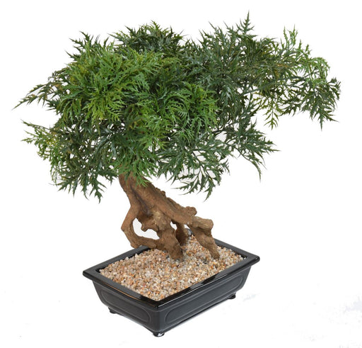 Kunstig Aralia Bonsai I Sektion Til Indendørs 60Cm