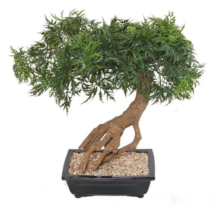 Kunstig Aralia Bonsai I Sektion Til Indendørs 60Cm