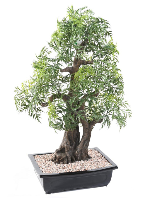 Kunstig Aralia Bonsai Til Indretning