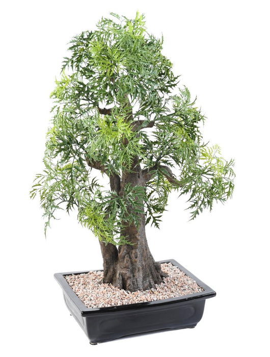 Kunstig Aralia Bonsai Til Indretning