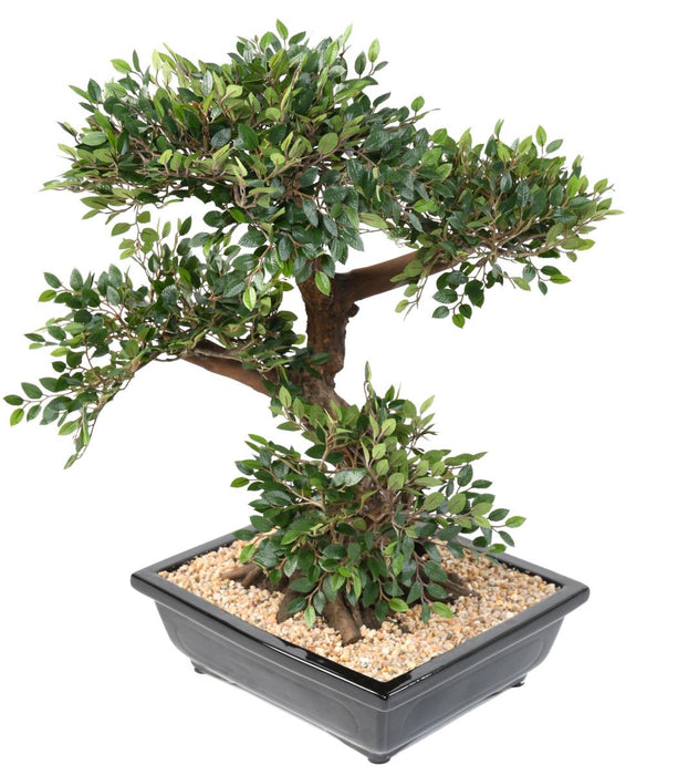 Kunstig Elm Bonsai 70Cm Med Keramisk Pot