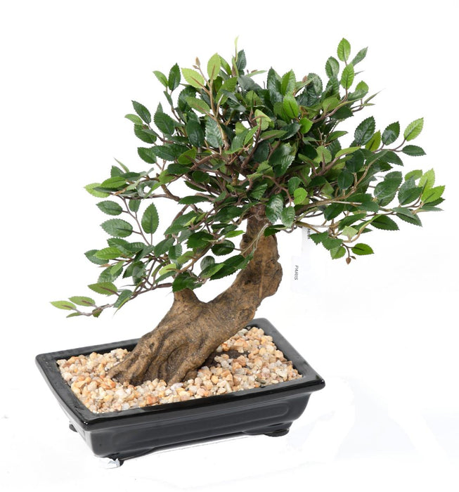 Kunstig Elm Bonsai Med Grus Til Indendørs