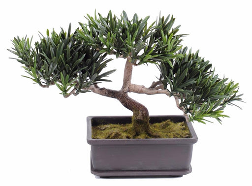 Kunstig Podocarpus Bonsai Til Indendørs Og Udendørs