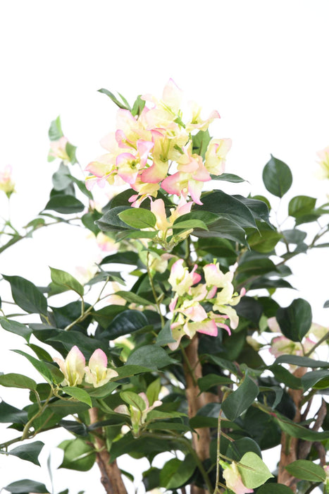 Kunstig Bougainvillea 150 Cm Hvide Lyserøde Blomster
