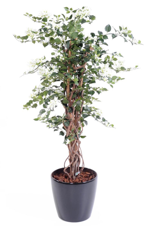 Hvid Kunstig Bougainvillea H150Cm Indendørs Plante