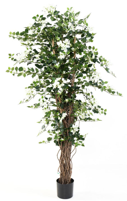 Kunstige Bougainvillea Hvide Blomster 180Cm