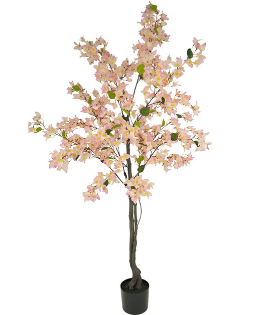 Pastel Pink Bougainvillea - Kunstigt Træ
