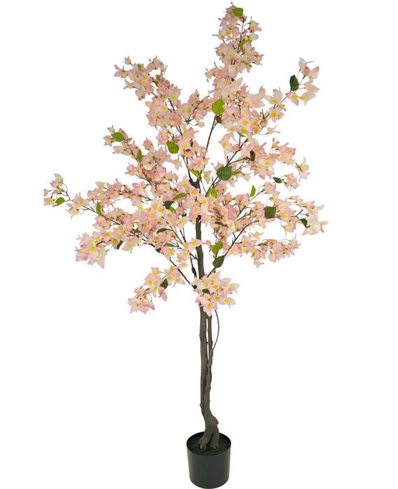 Pastel Pink Bougainvillea - Kunstigt Træ