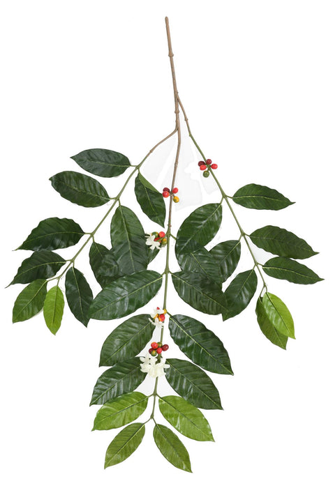 Kunstig Kaffegren 80Cm Indvendig Dekoration