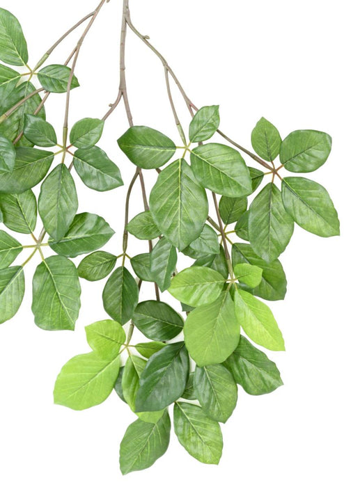 Kunstig Bøg Grandifolia Gren 65 Cm Grøn