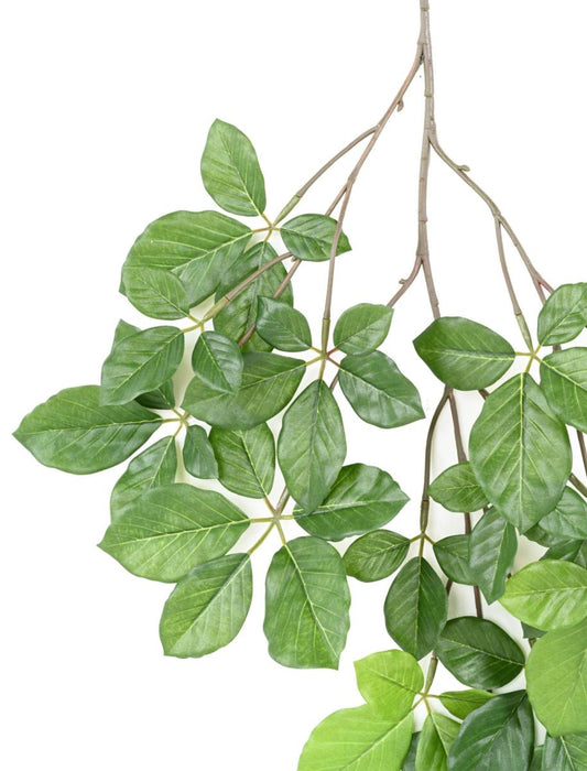 Kunstig Bøg Grandifolia Gren 65 Cm Grøn