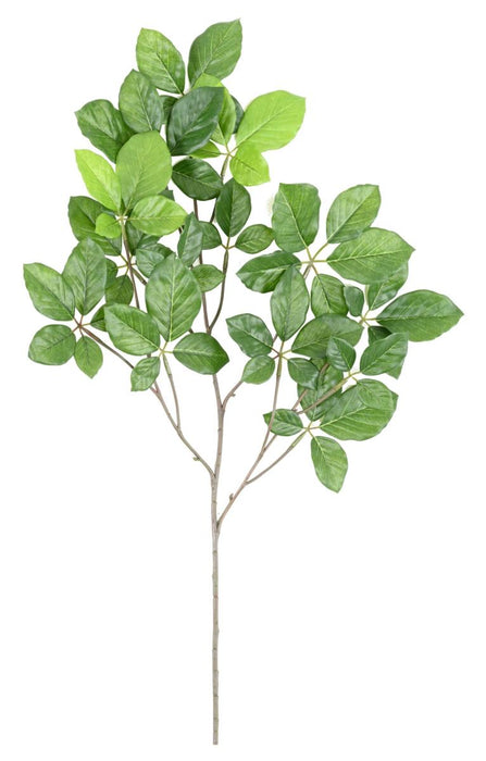 Kunstig Bøg Grandifolia Gren 65 Cm Grøn