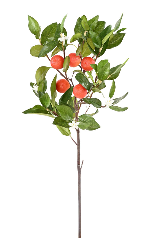 Kunstig Appelsintrægren Med Blomster Og Frugter