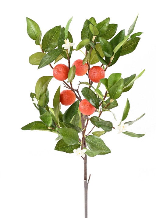 Kunstig Appelsintrægren Med Blomster Og Frugter