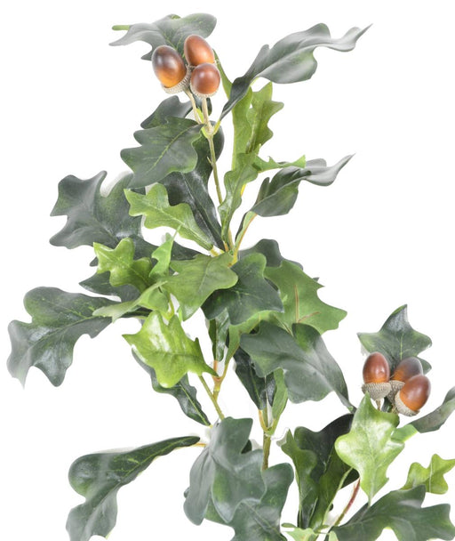 Håndværksmæssig Egegren Med 6 Agern 70 Cm