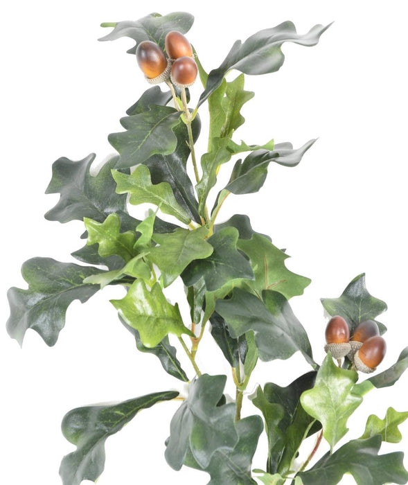 Håndværksmæssig Egegren Med 6 Agern 70 Cm