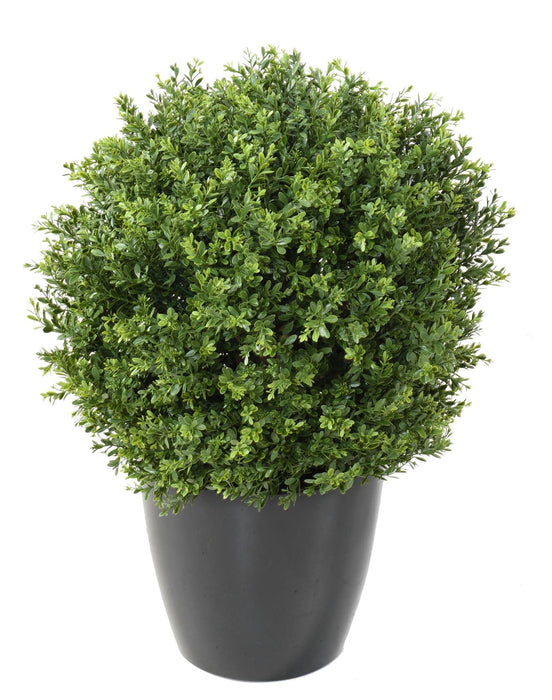 Kunstig Buksbom UV-Bold 65 Cm Til Udendørs