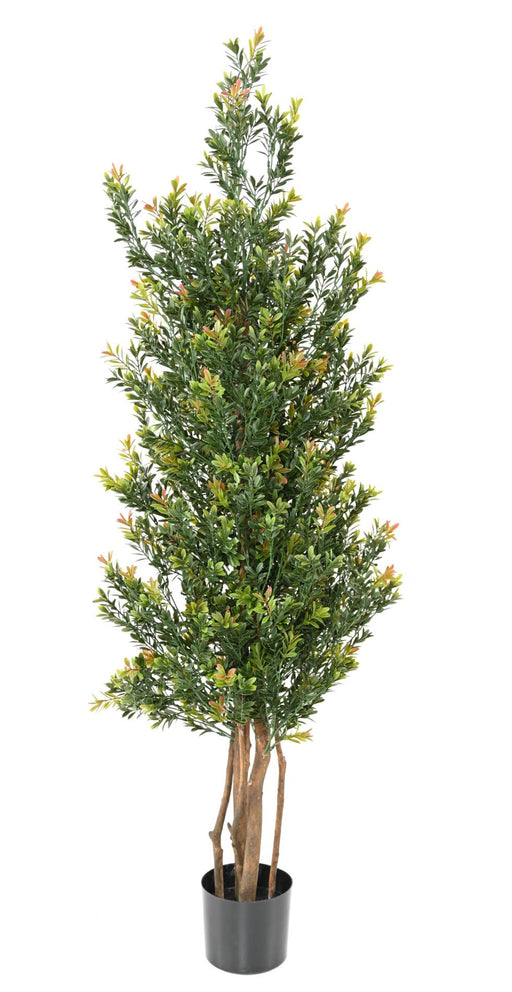 Kunstig Buksbom Topiary Til Have 165Cm Grøn