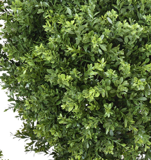 Kunstig Buksbom Topiary UV-Resistent 60Cm Grøn