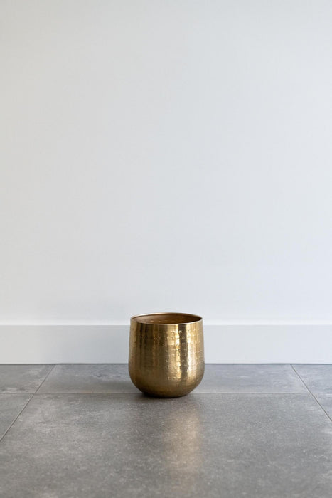 Golden Plant Pot - H16Cm, Ø16Cm