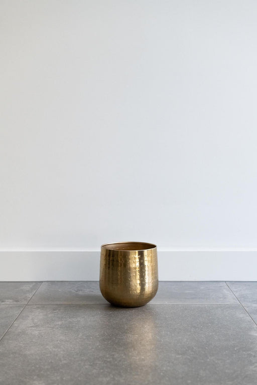 Golden Plant Pot - H16Cm, Ø16Cm