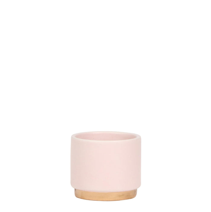 Pink Plantepotte - Ø6Cm
