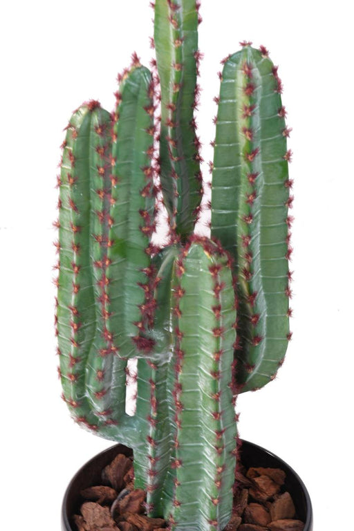 Kunstig Kaktus 5 Grene 77 Cm Til Indendørs