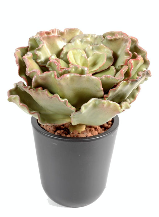 Kunstig Kaktus Crassula Echeveria 25 Cm Til At Sy