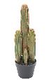 Indendørs Kunstig Kaktus 7 Stammer 60 Cm Grøn